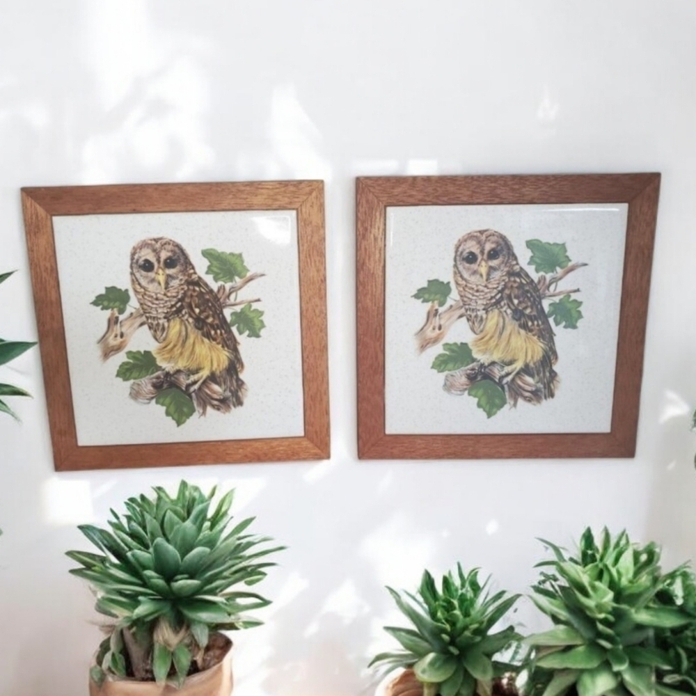 Barred Owl Tile Trivet Framed Decor Wall‎ Hanging USA (2) EUC